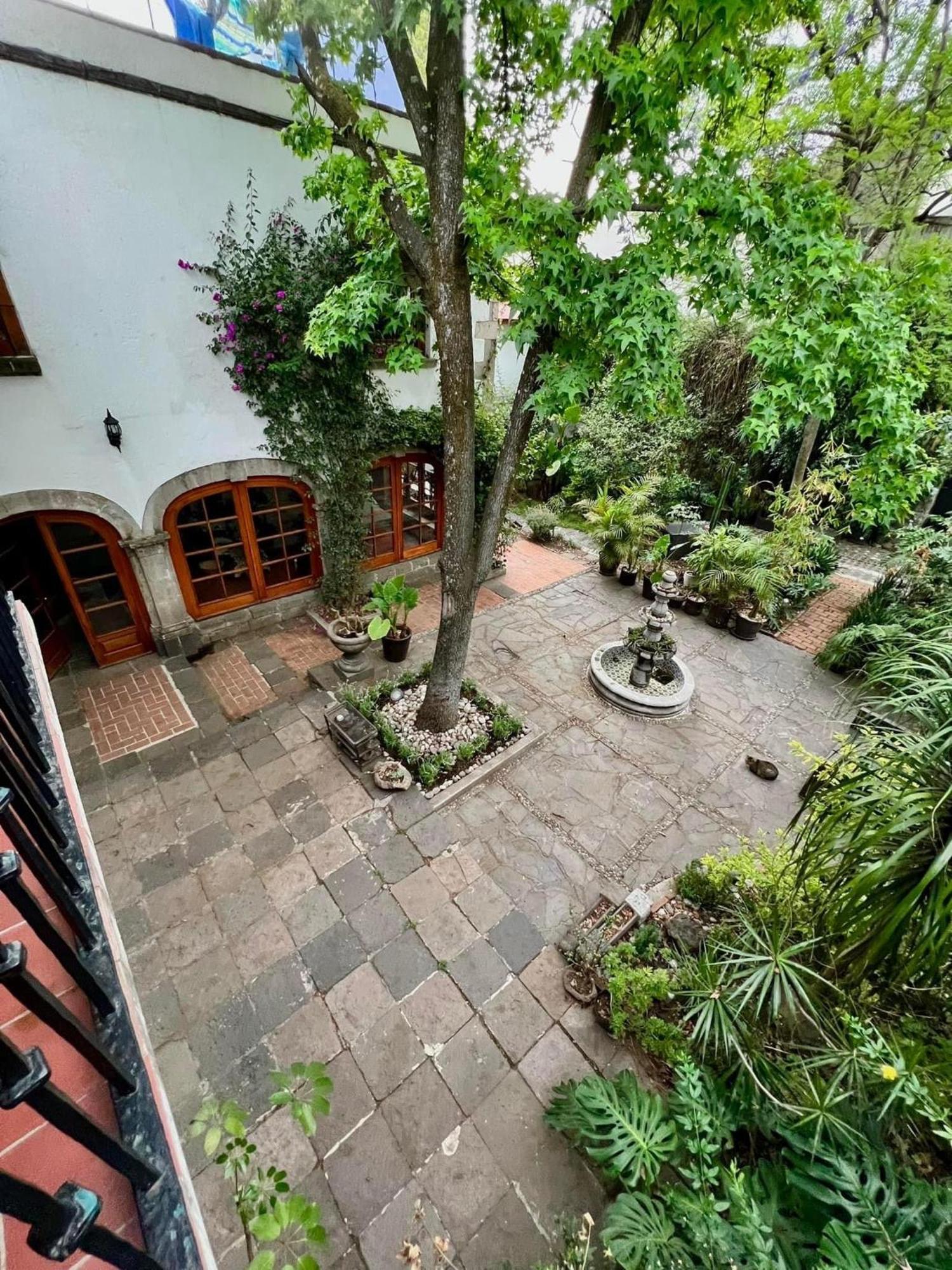 Boutique Hotel And Gallery In San Angel Inn Мехико Экстерьер фото